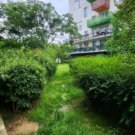 Appartement Charming T3 With Balcony In Saint-denis *